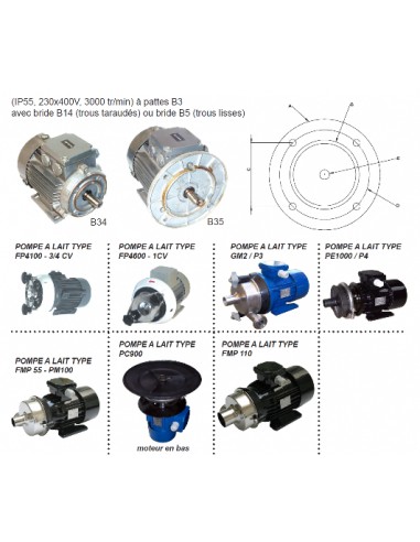 MOTEUR 3/4 PAL