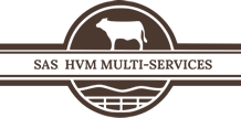 HVM MULTI SERVICES